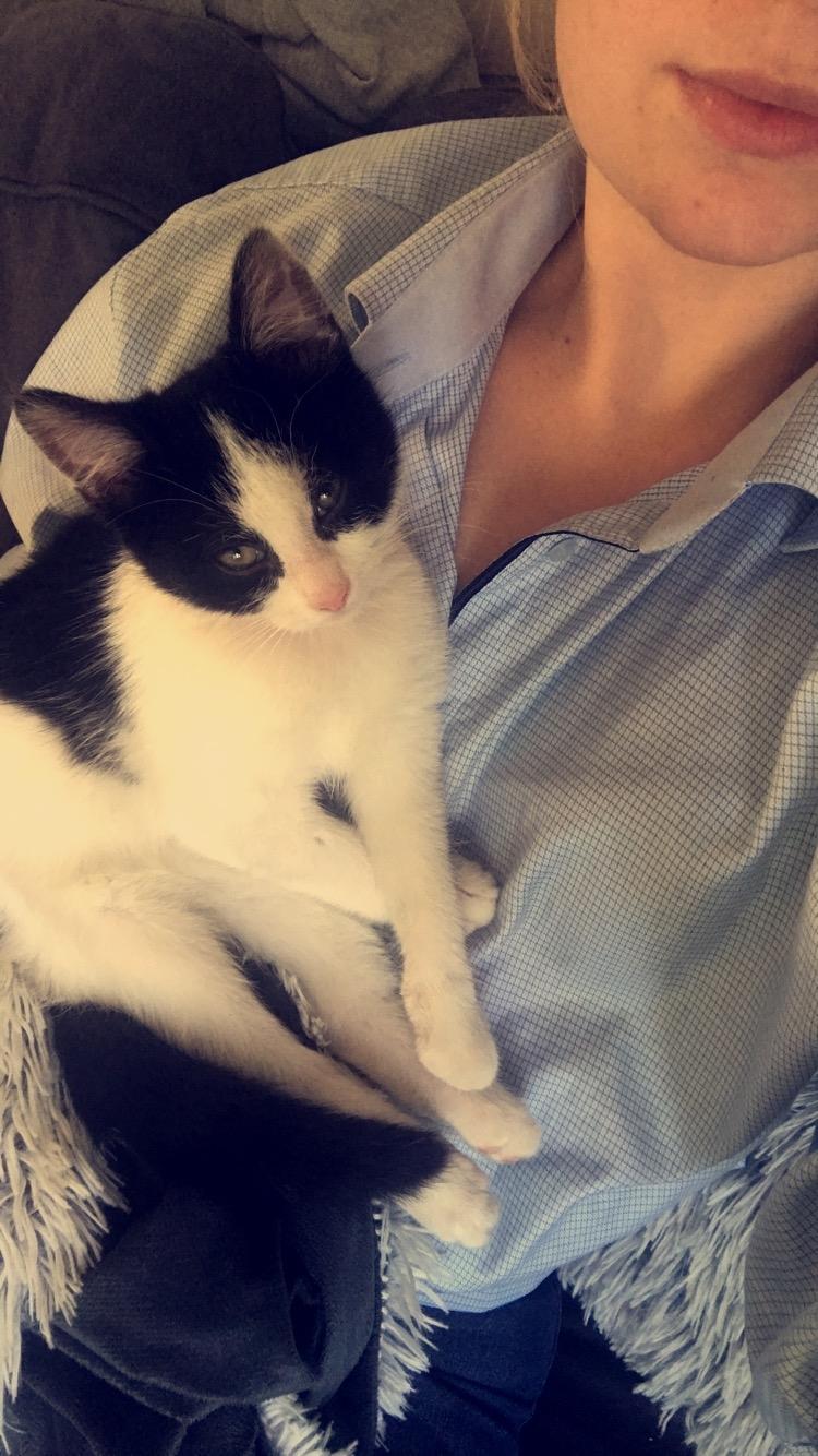 Huskat Yoda billede 1