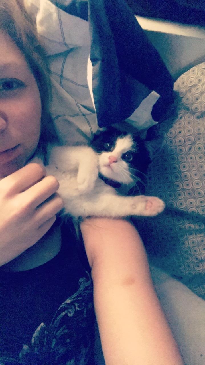 Huskat Yoda billede 8