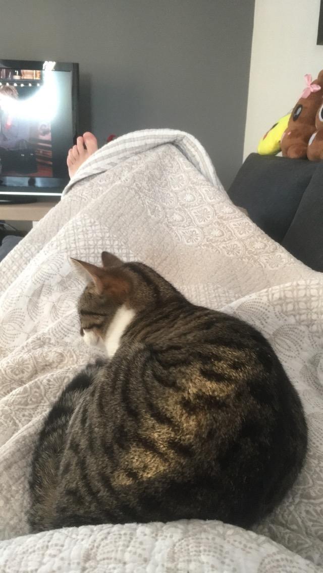 Huskat Mille billede 34