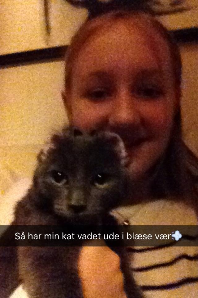 Huskat Pjevs billede 2