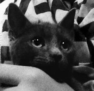 Huskat Pjevs billede 1