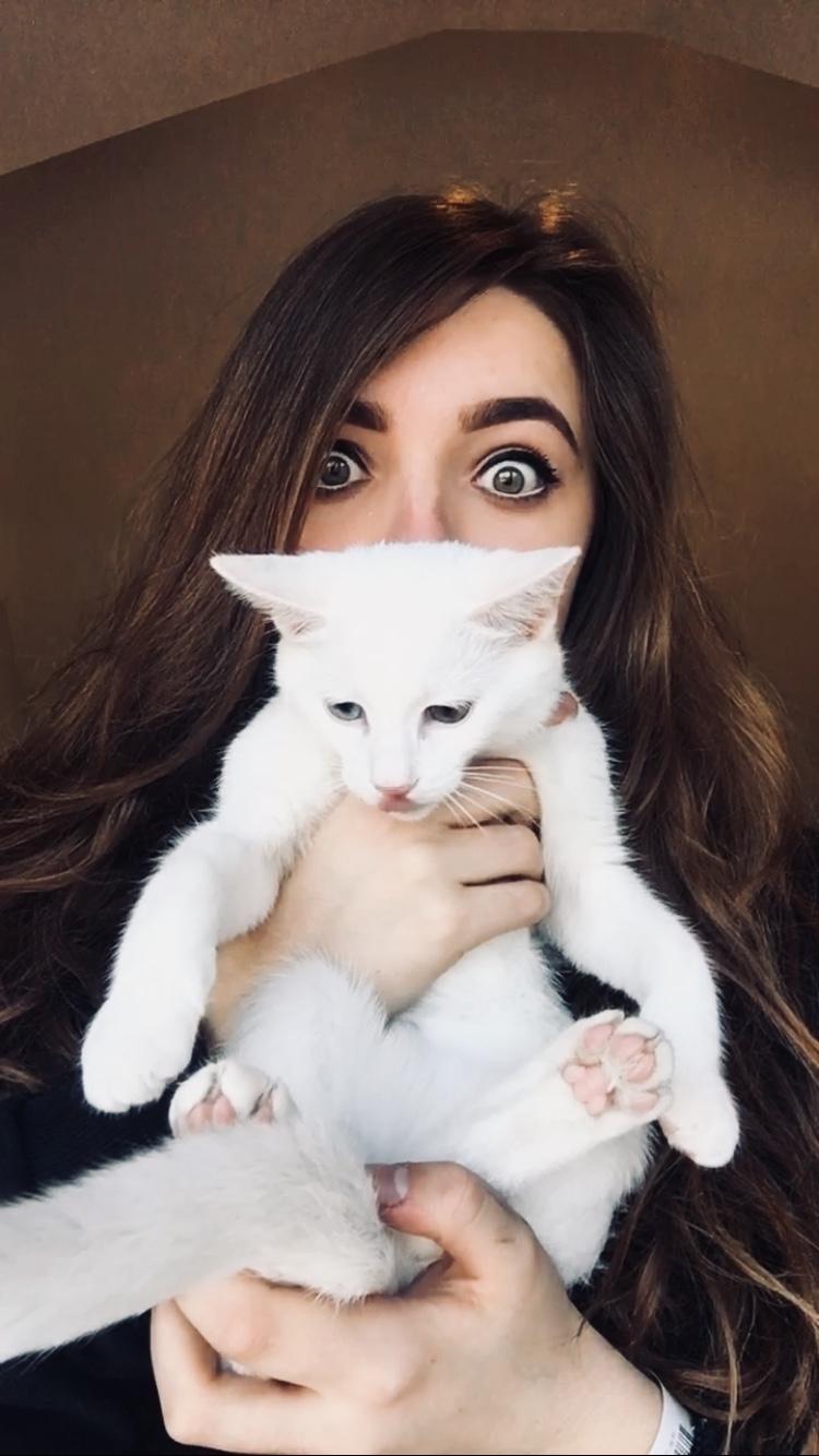 Blanding af racer Norah billede 6