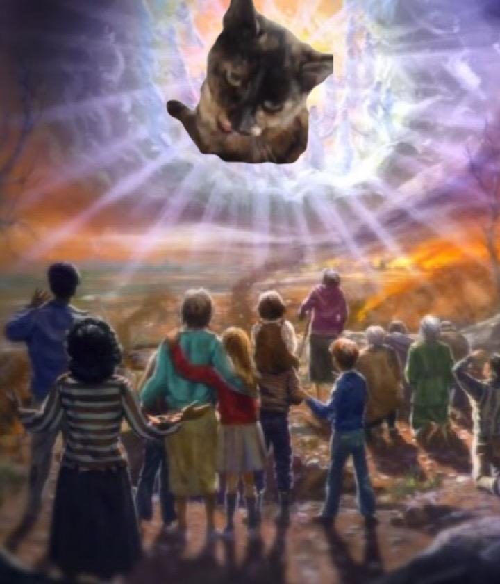 Huskat Spætmis billede 14