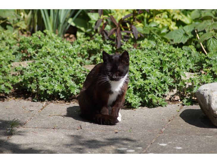 {{currentPhoto.altText}} billede {{currentPhoto.number}}