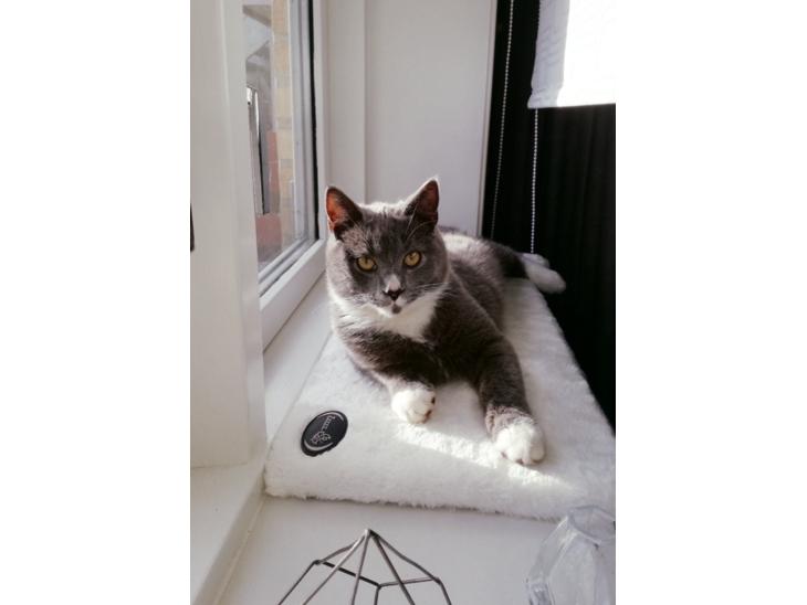 {{currentPhoto.altText}} billede {{currentPhoto.number}}