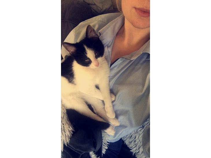 Huskat Yoda billede 1