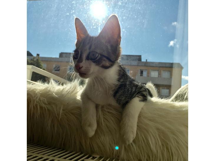 {{currentPhoto.altText}} billede {{currentPhoto.number}}