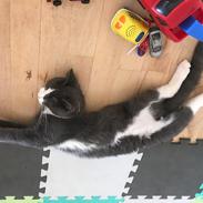 Blanding af racer “Morfar”