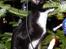 Huskat Nuzer<3 R.I.P.<3