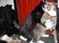 Huskat Nuzer<3 R.I.P.<3