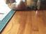 Maine Coon Samson