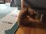 Maine Coon Samson