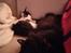 Maine Coon Arthur - en rolig stund med storebror