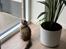 Sibirisk Kat Blixen