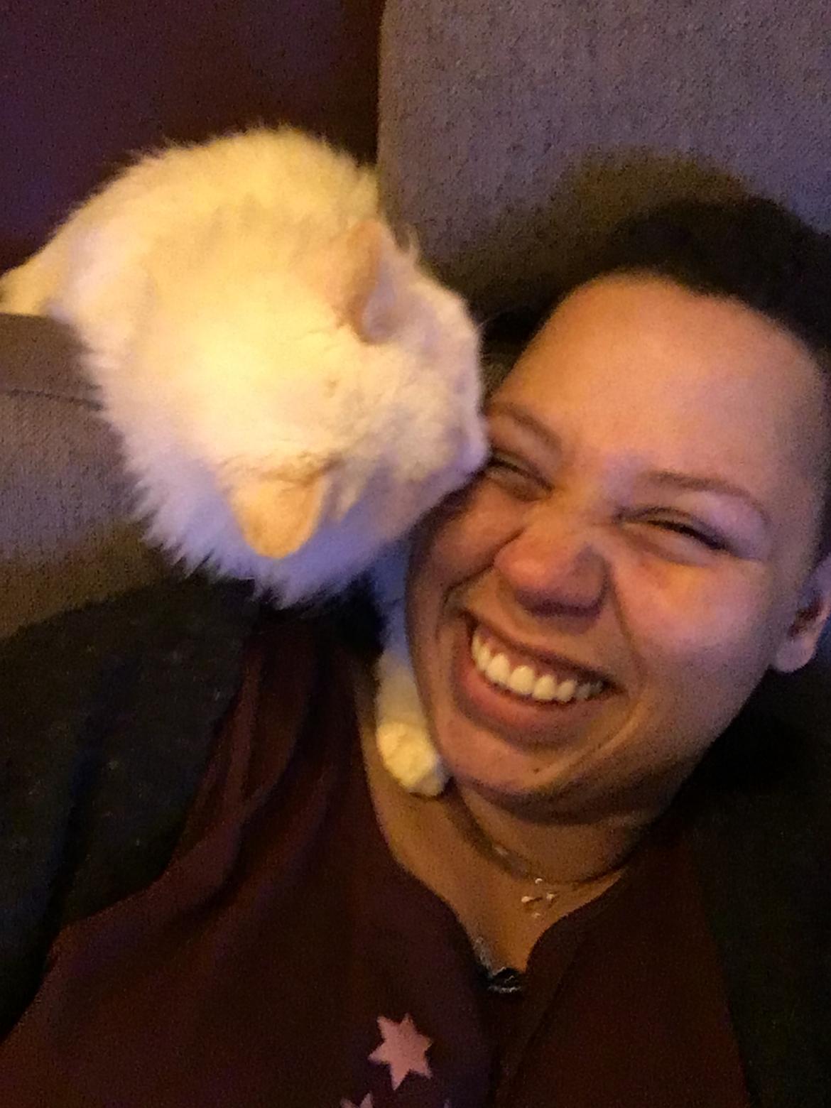 Ragdoll DK CatchingLove's Unik Arn (Pelle) billede 17