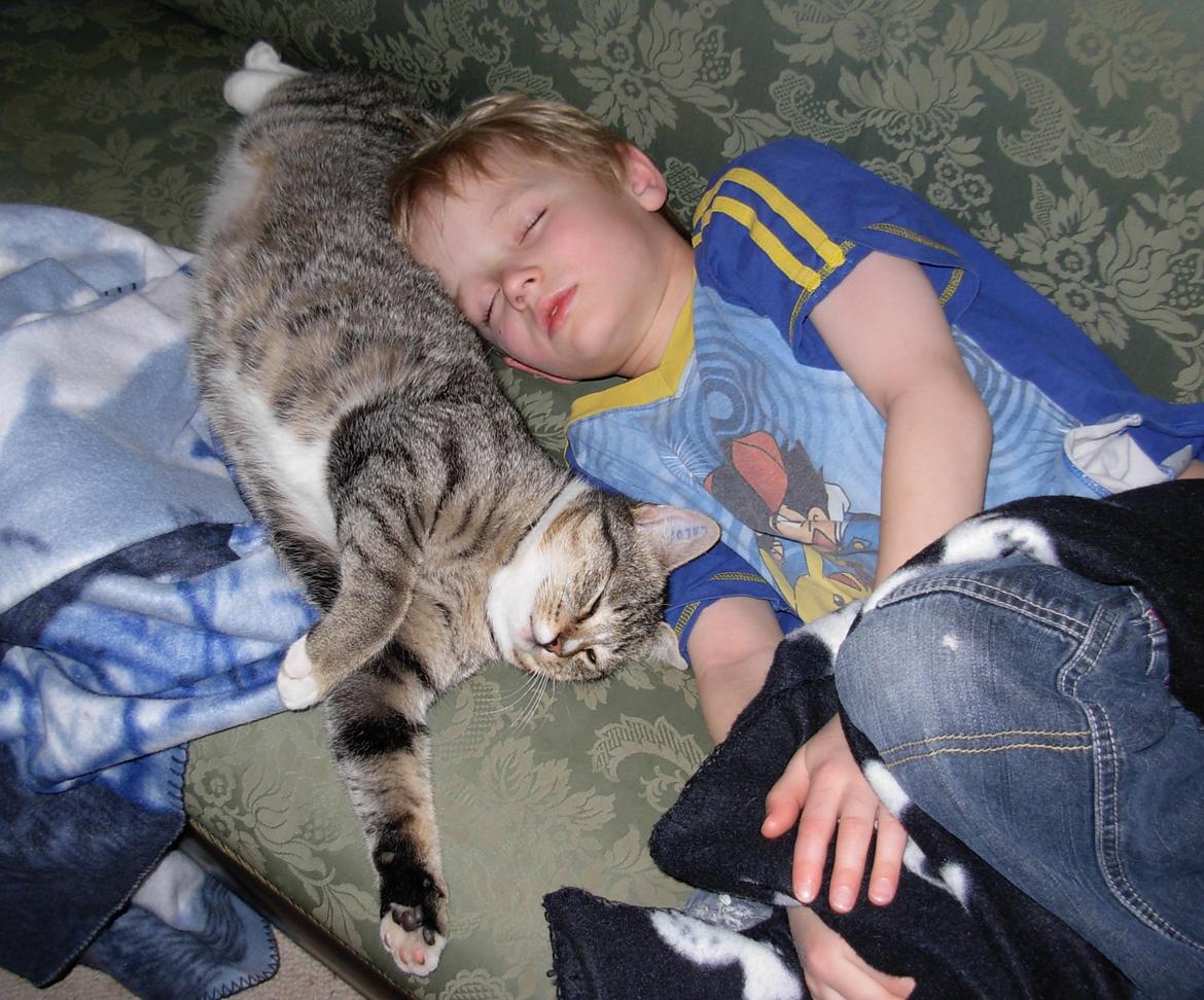 Huskat Sofus<3 R.I.P.<3 billede 27