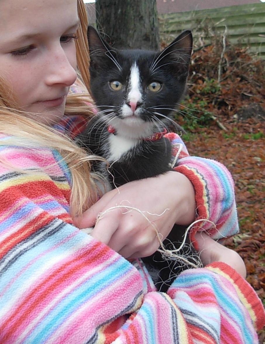 Huskat Nuzer<3 R.I.P.<3 billede 24