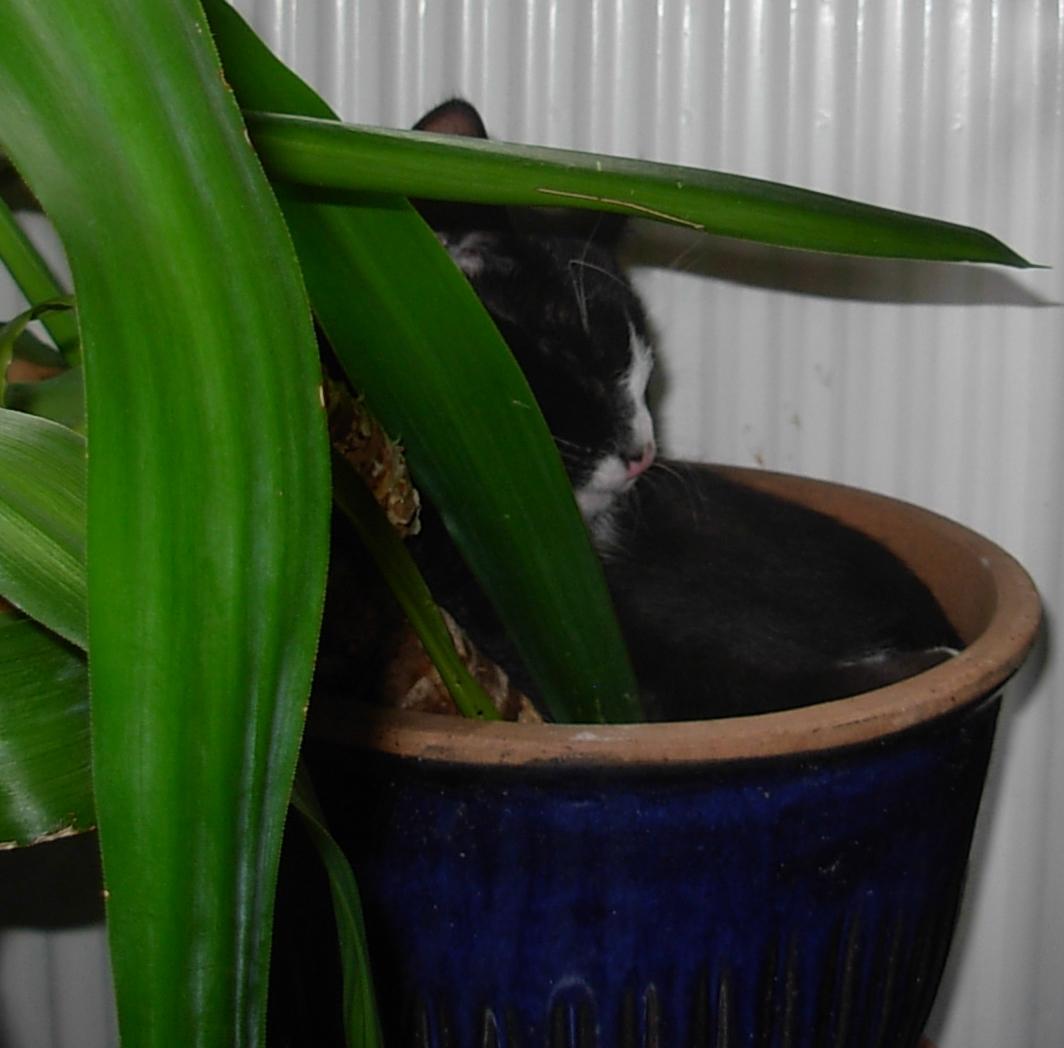 Huskat Nuzer<3 R.I.P.<3 billede 26