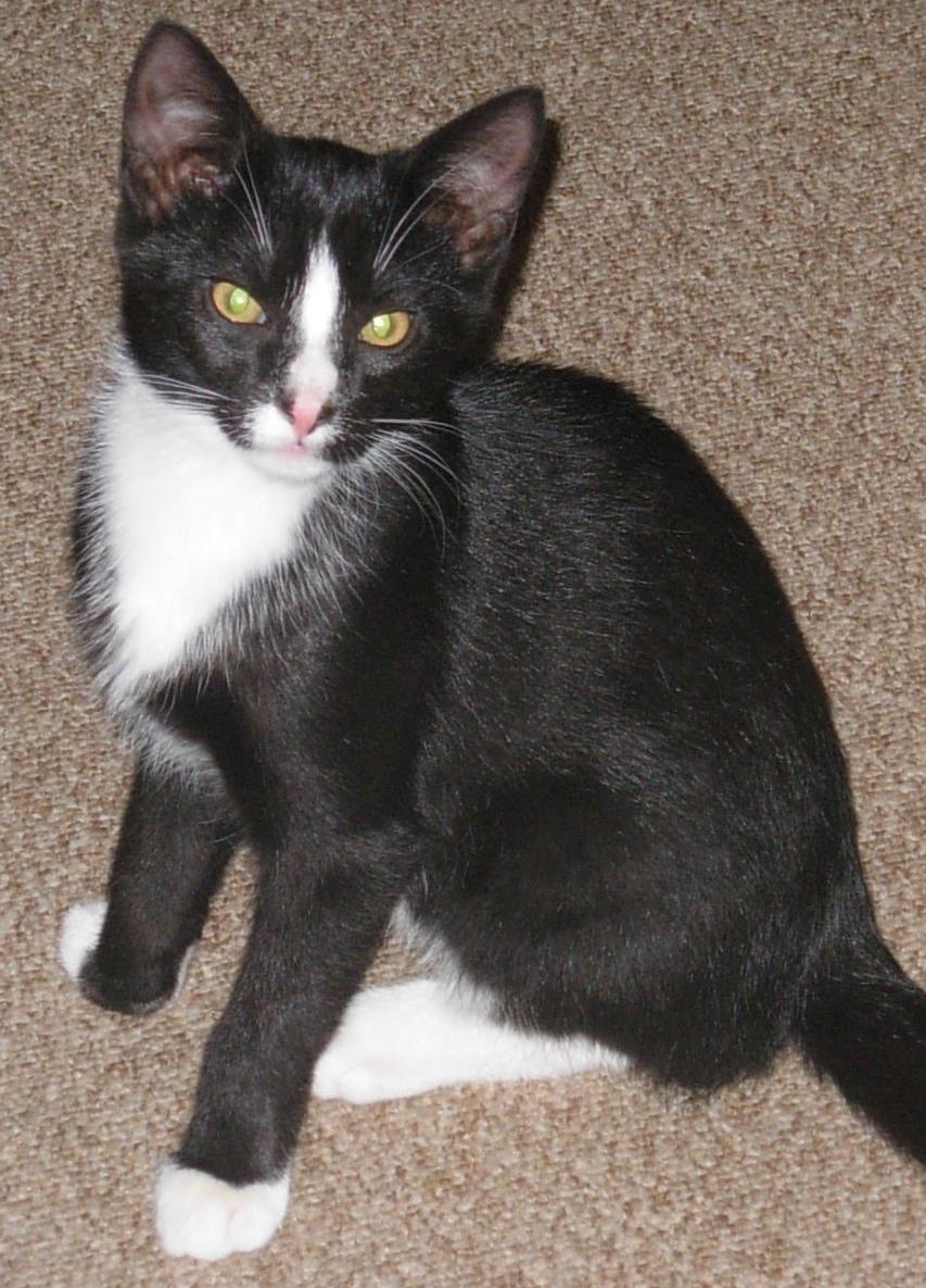 Huskat Nuzer<3 R.I.P.<3 billede 29