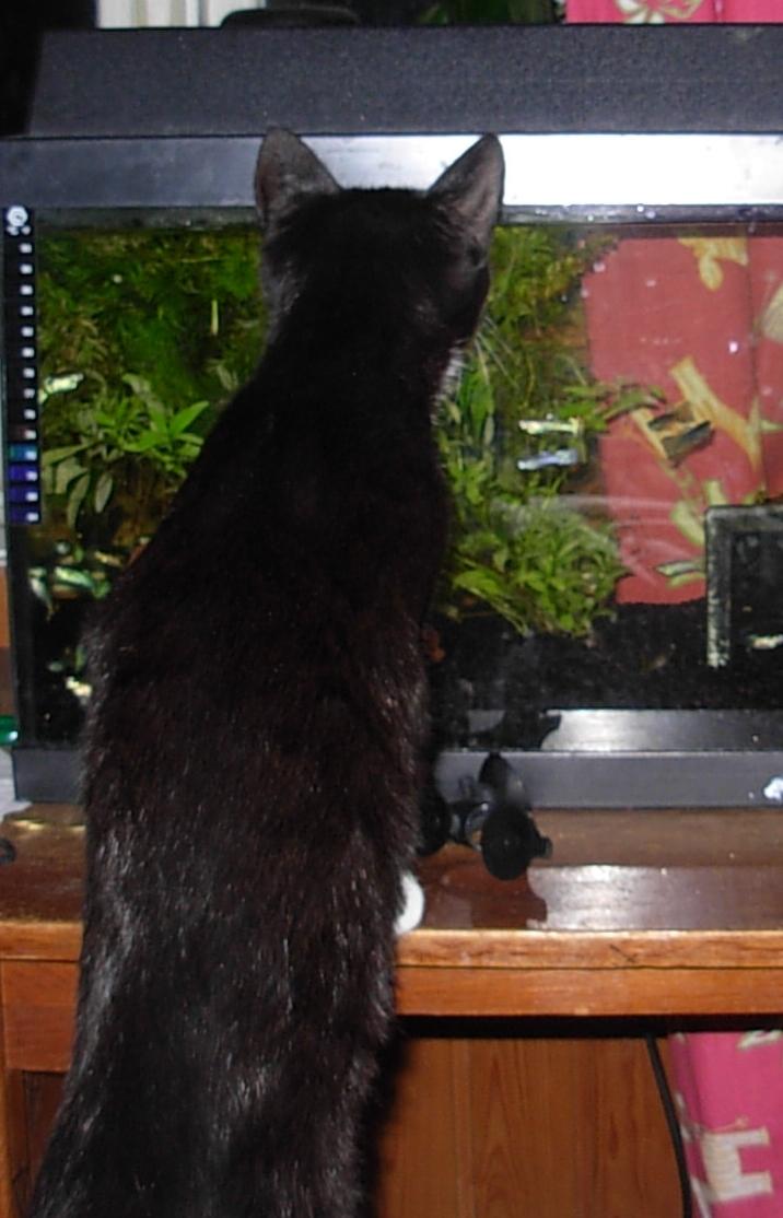 Huskat Nuzer<3 R.I.P.<3 billede 31