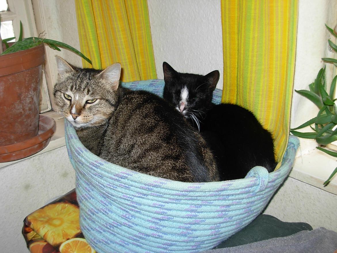 Huskat Nuzer<3 R.I.P.<3 billede 22