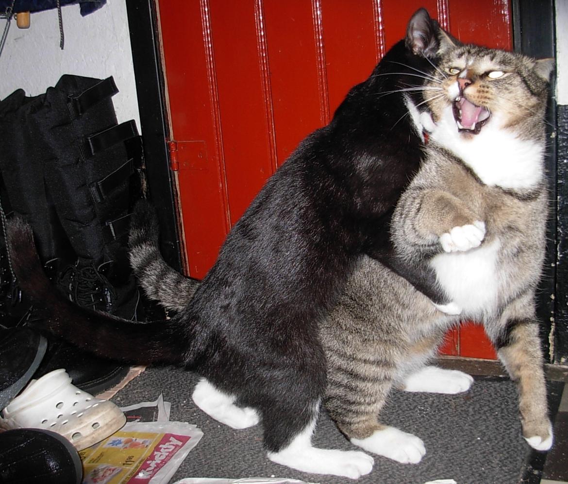 Huskat Nuzer<3 R.I.P.<3 billede 30