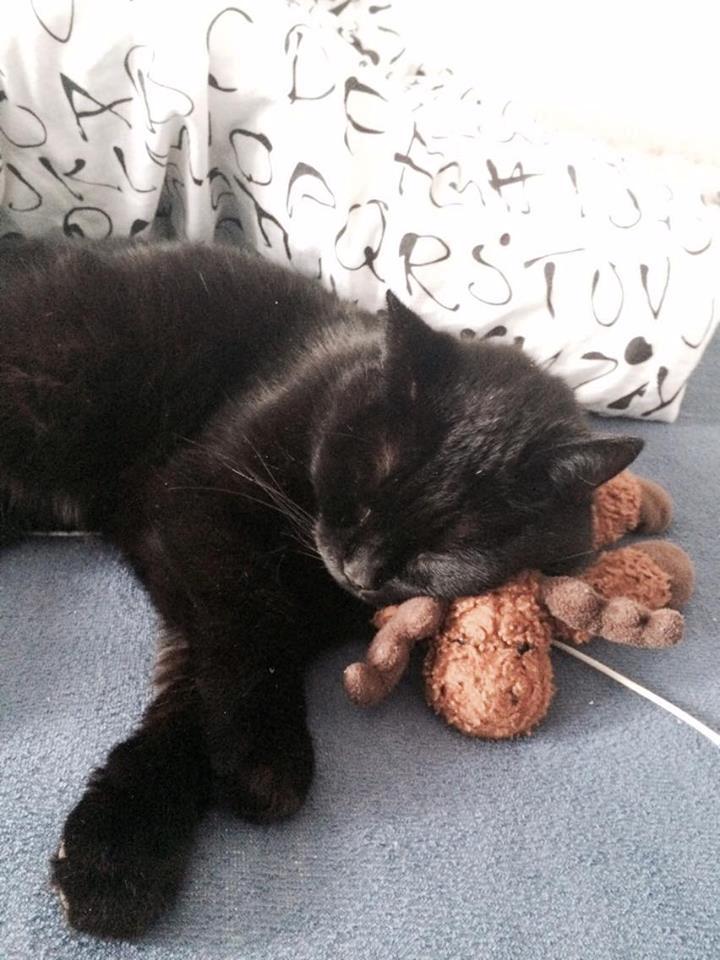 Huskat Malde billede 4