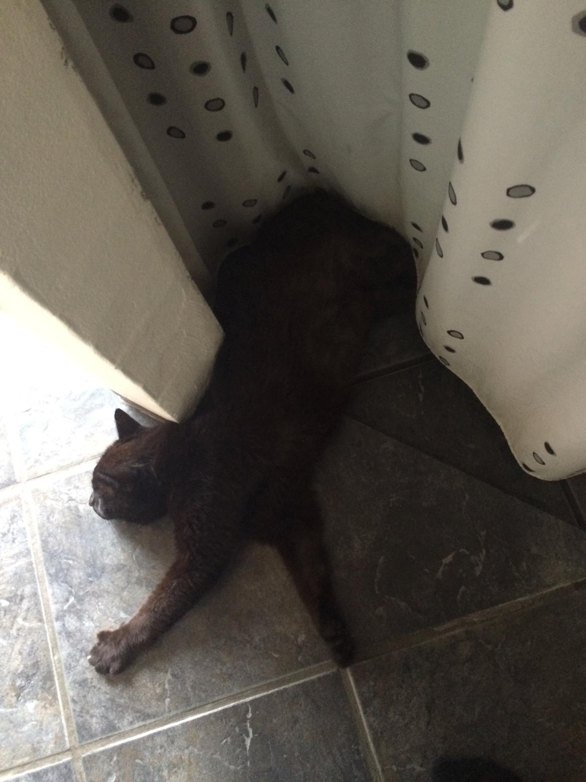 Huskat Malde billede 11