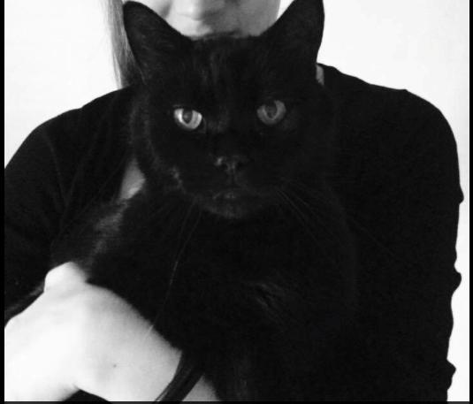 Huskat Malde billede 19