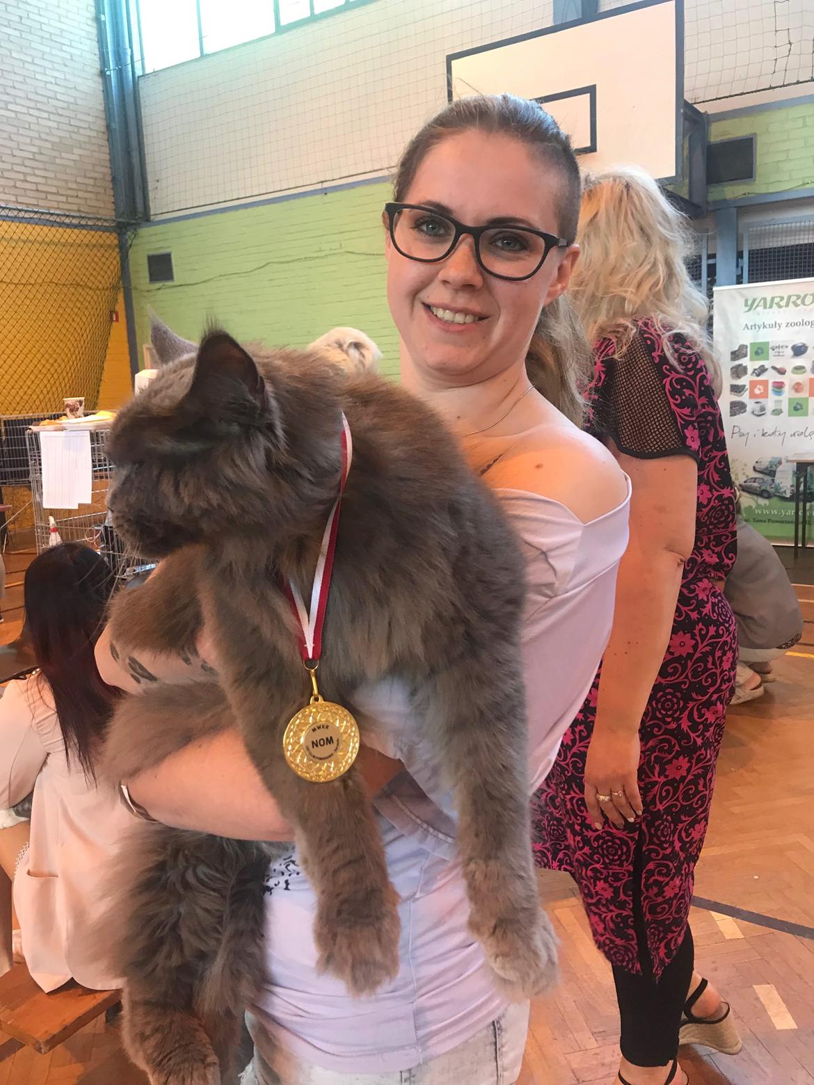 Maine Coon Crane Coon's Baloo  billede 11