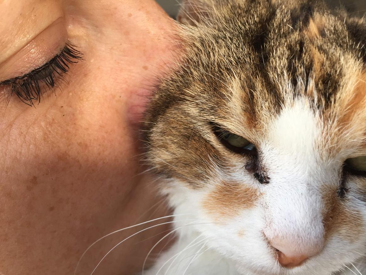 Huskat Miss MAXI  1999-2019 - sept 2.018  billede 14