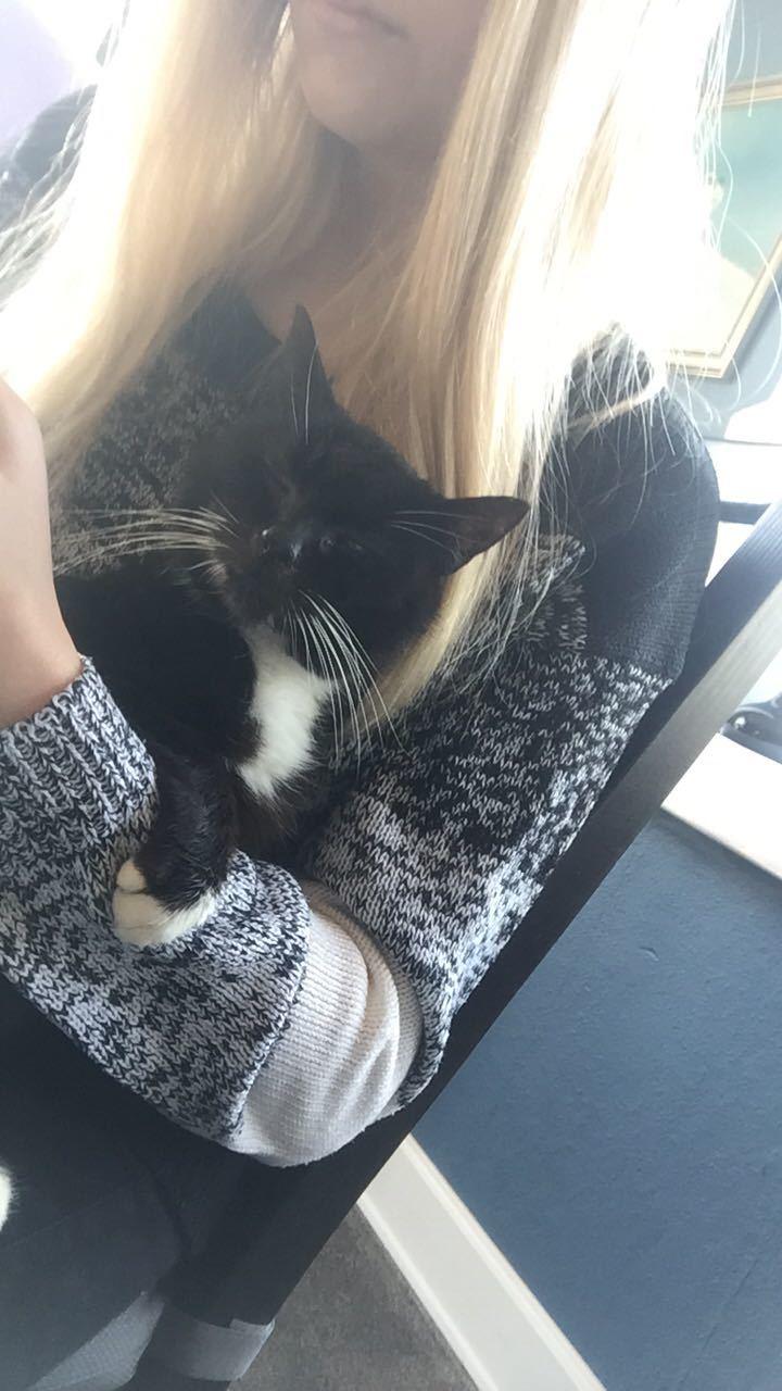 Huskat Mille billede 5