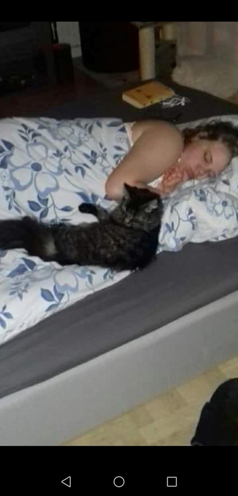 Blanding af racer Hugo billede 4