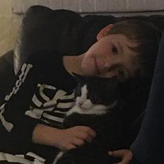 Blanding af racer Misse Pigen