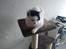 Huskat Laurits RIP