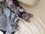 Lykoi Sin Sin Mooncatspl