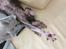 Lykoi Sin Sin Mooncatspl