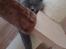 British Shorthair Violet