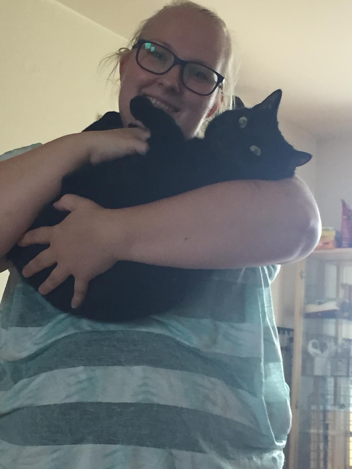 Huskat Himmelmis Manse billede 25