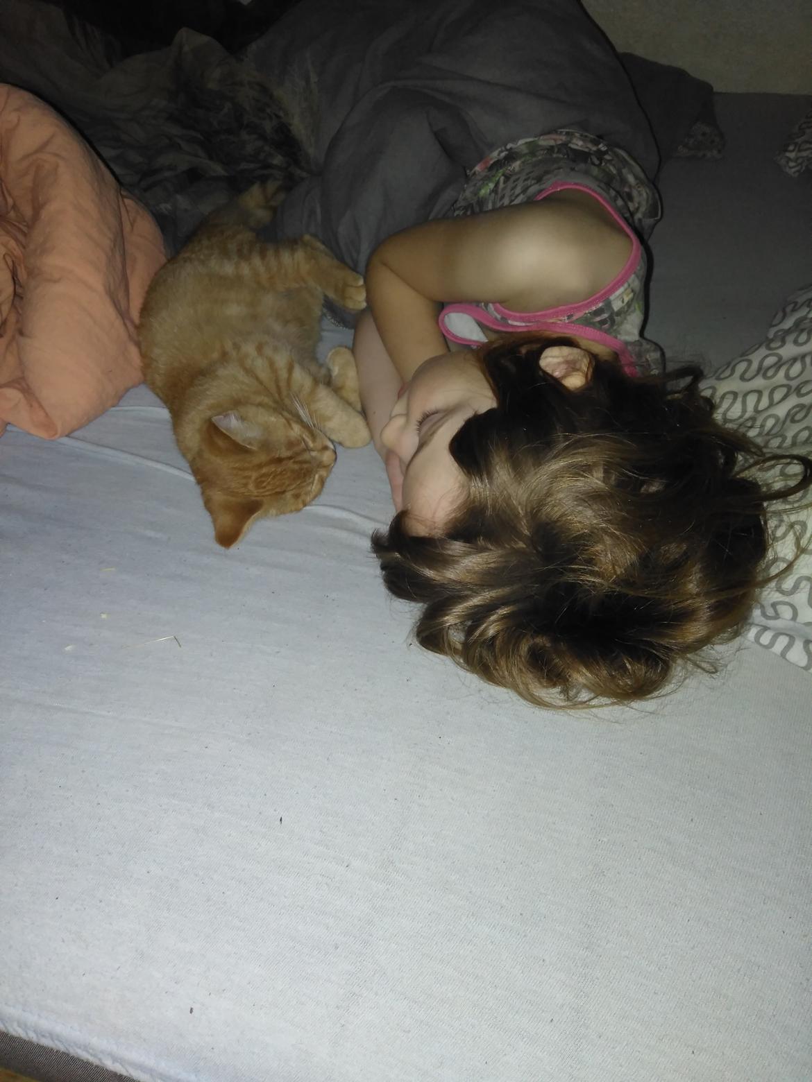 Huskat Frederik billede 2