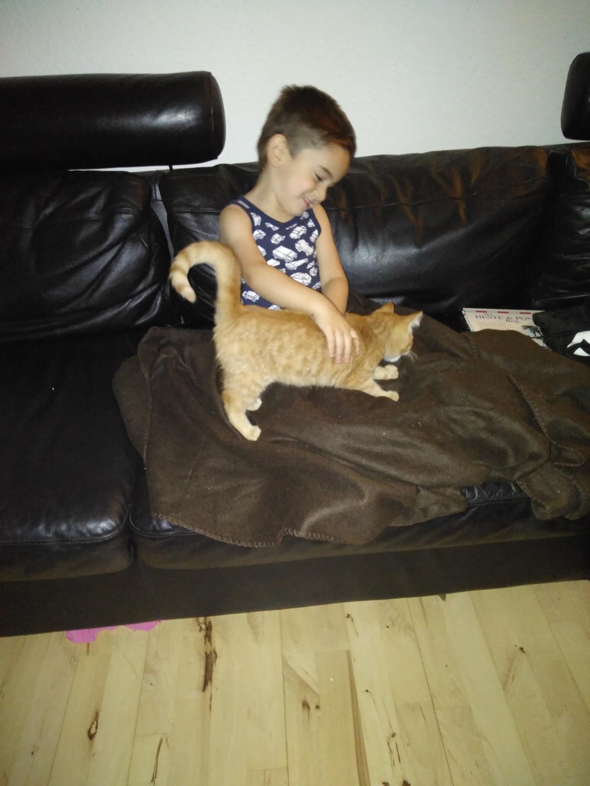 Huskat Frederik billede 5