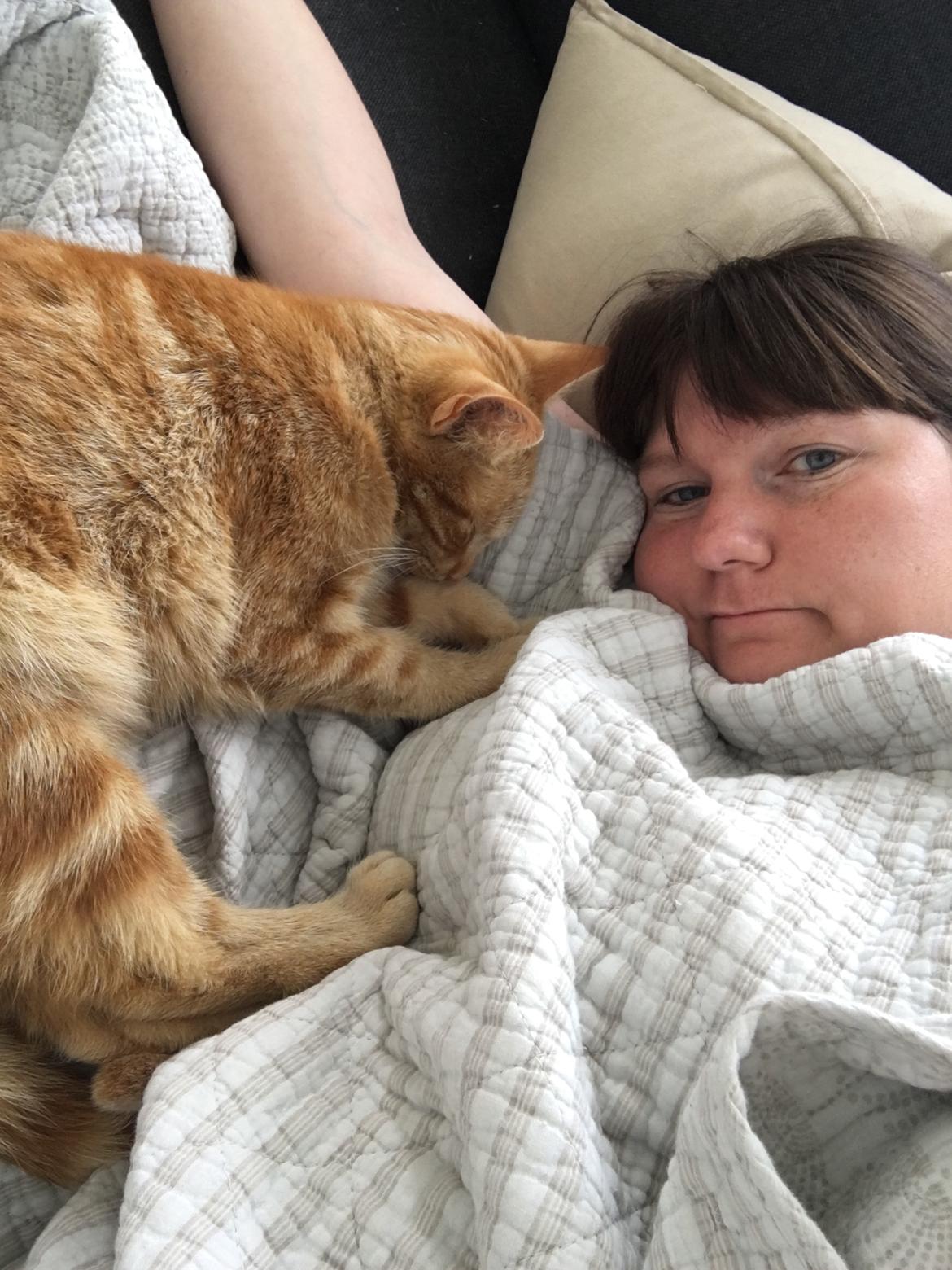 Huskat Mikkel billede 10