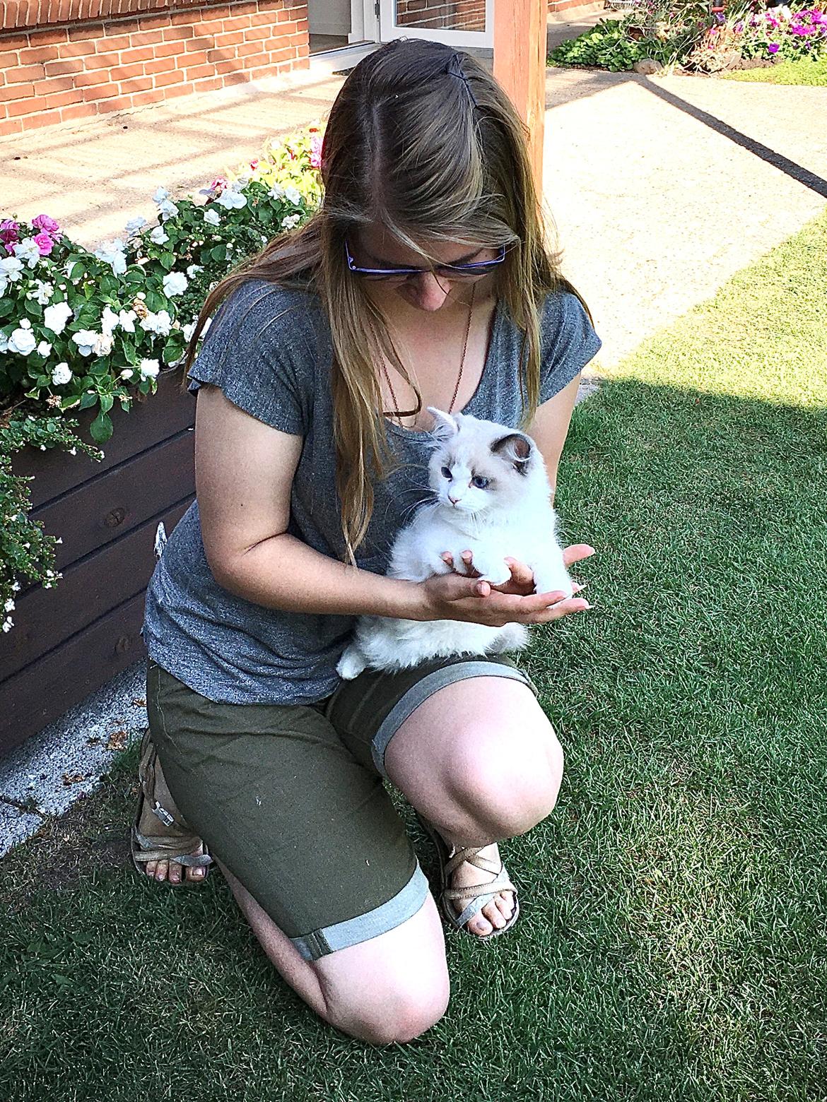 Ragdoll S*Gunbertus Flora billede 19