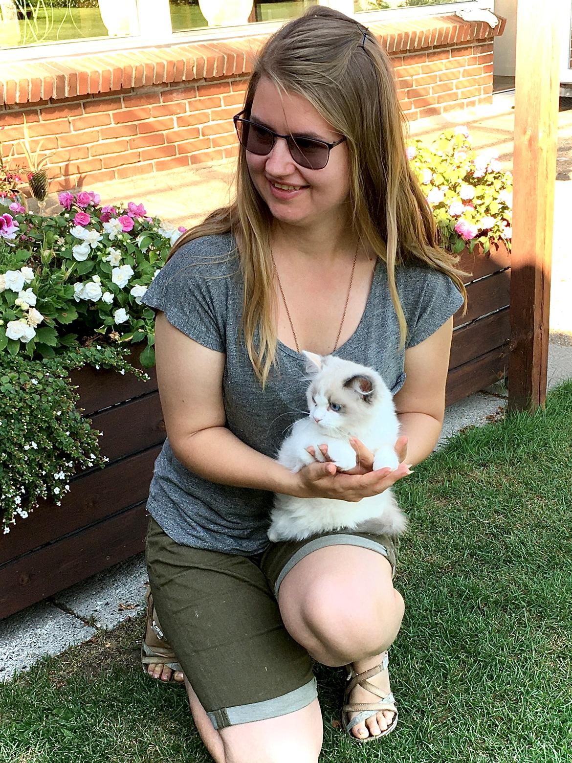 Ragdoll S*Gunbertus Flora billede 8