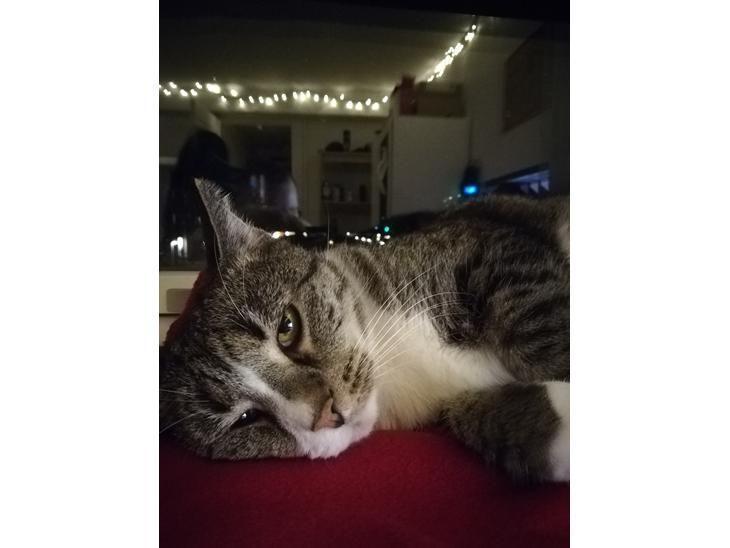 {{currentPhoto.altText}} billede {{currentPhoto.number}}