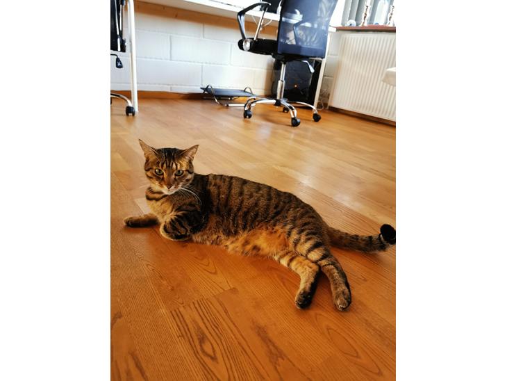 {{currentPhoto.altText}} billede {{currentPhoto.number}}