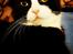 Munchkin Selma