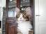 Maine Coon Dk Na'zyia's Zabaione