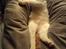 Huskat Oliver