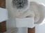 British Shorthair Empires Maggeduddi (Duddi)